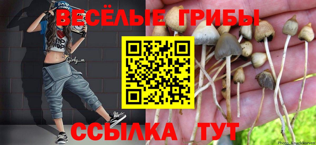 Галлюциногенные грибы Magic Shrooms Котовск
